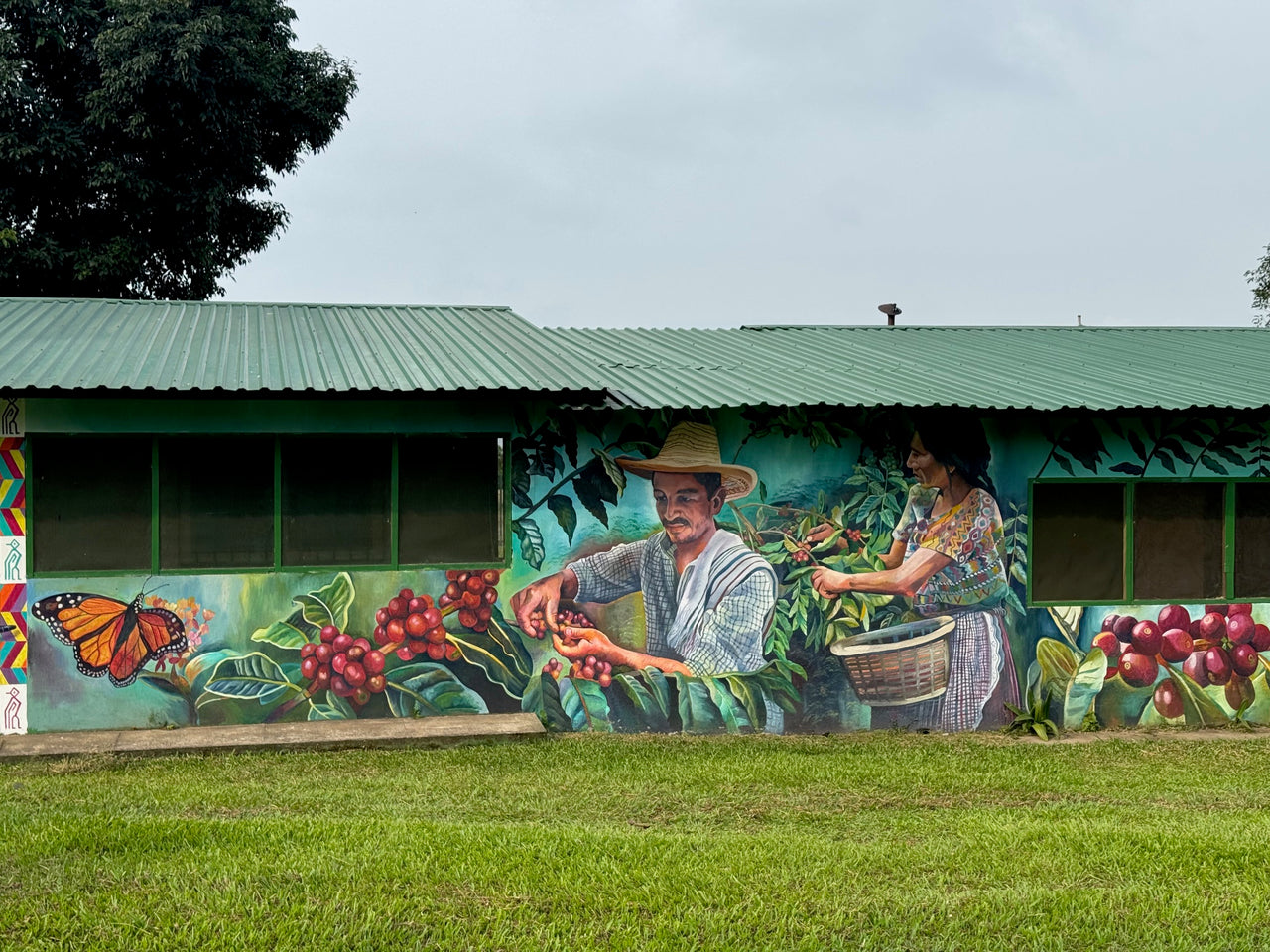 Guatemala El Pacayal