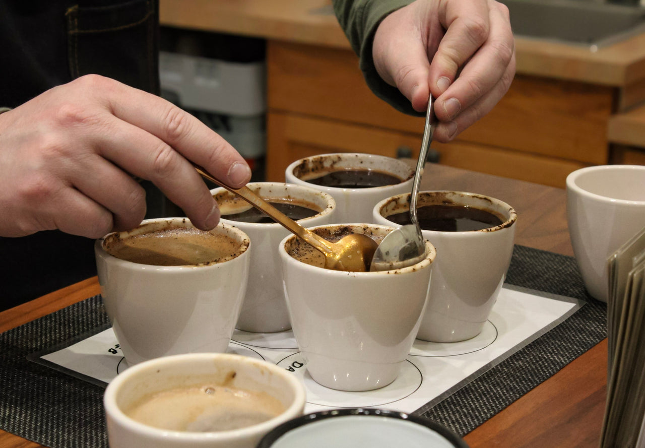 Roast Exploration Flight