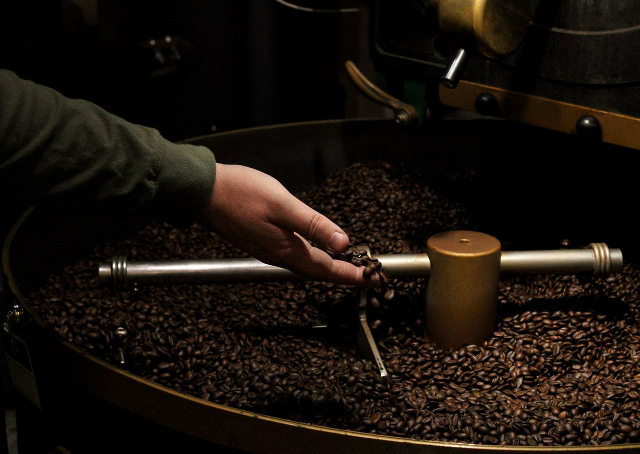 Roast Exploration Flight