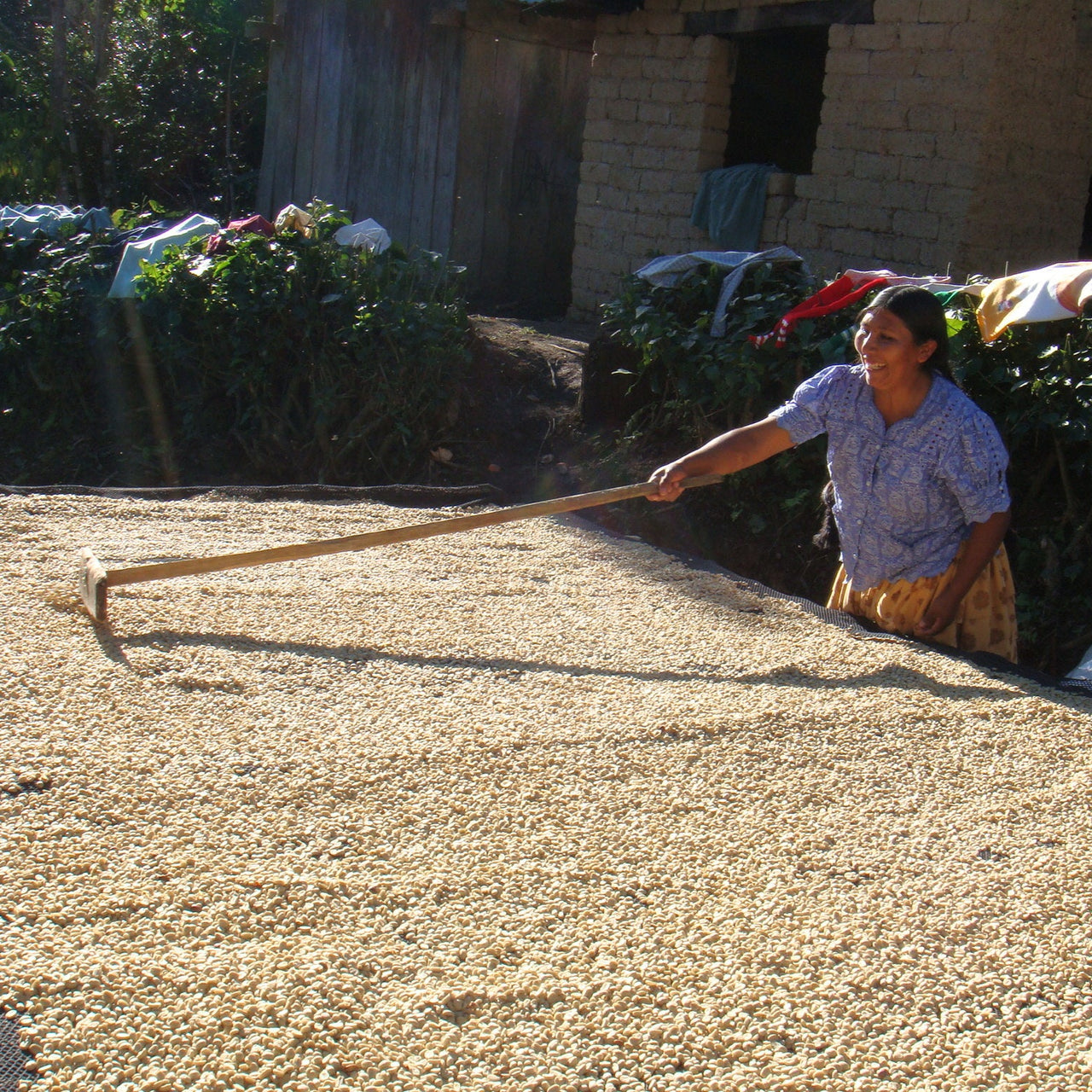 Bolivia Café Femenino