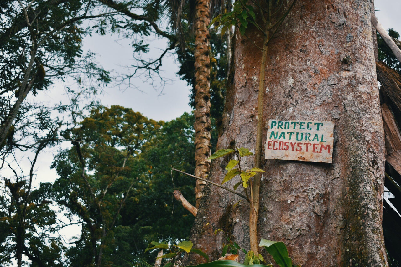 Ethiopia Zema Natural