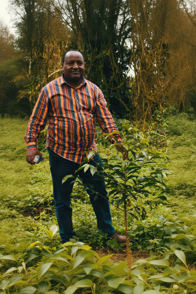 A man wearing a colorful orange, red, and blue striped long-sleeve shirt and dark pants stands in a lush green outdoor field or garden, holding a small plant.