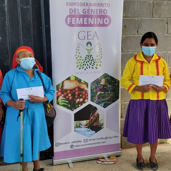 HONDURAS - GEA