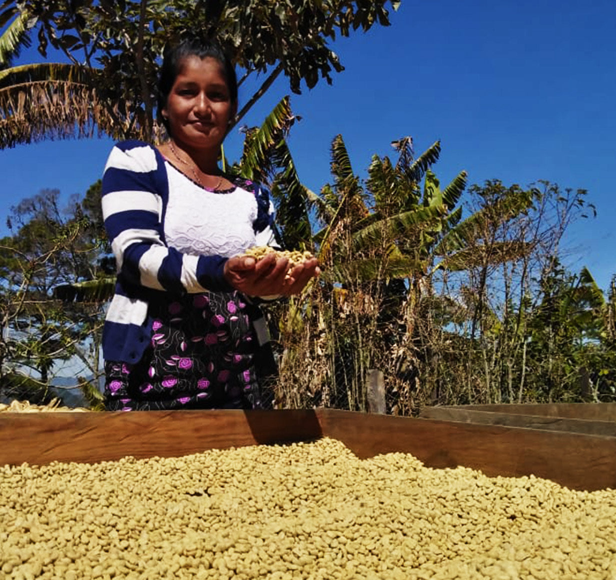 HONDURAS - GEA